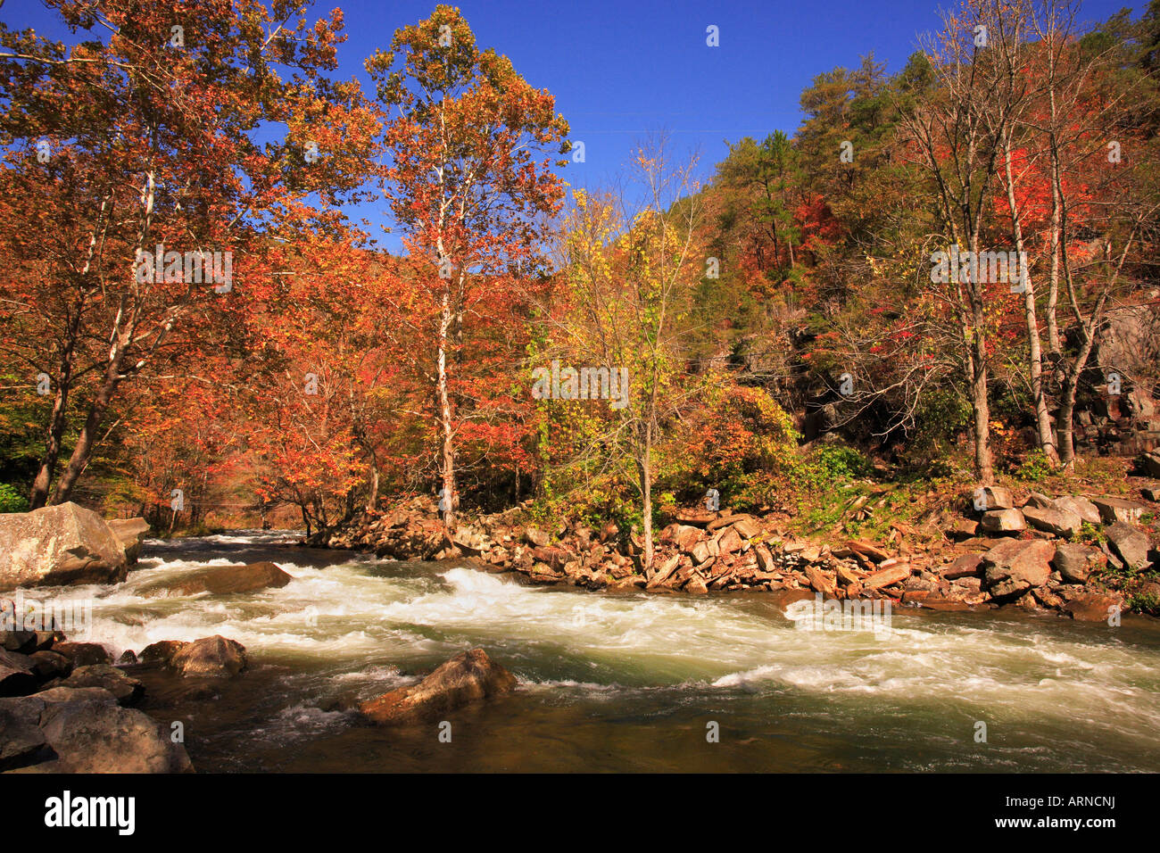 Nantahala River Gorge