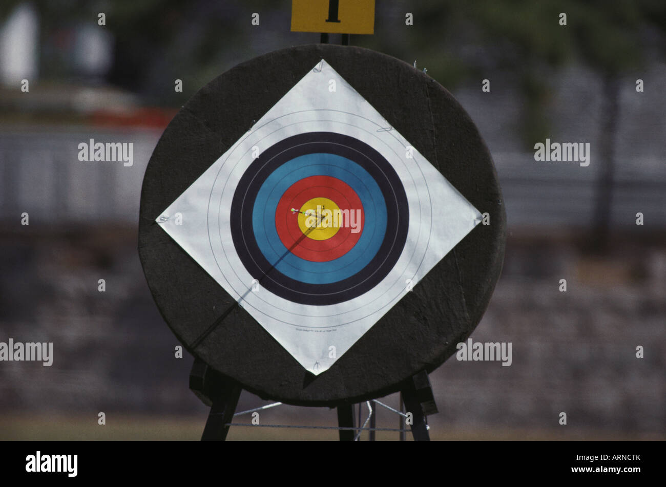 Tools of the trade, bull's eye bullseye sport sports targets archery