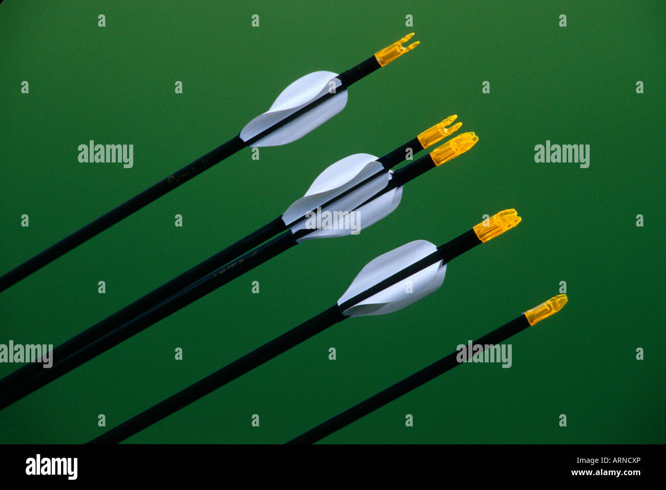 Tools of the trade, bull's eye bullseye sport sports targets archery arrow arrows bulls eye