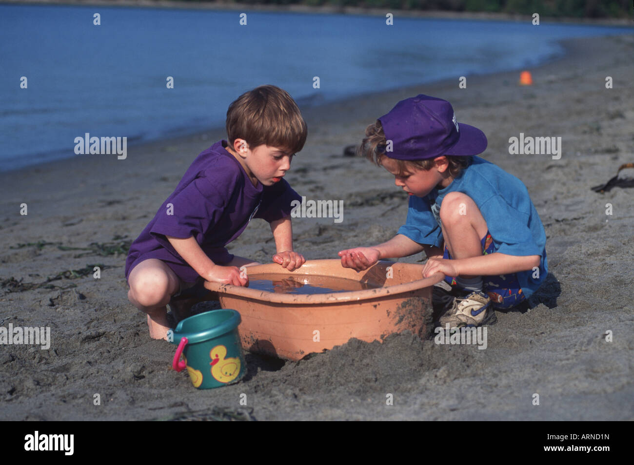 Boys examine beach critters in tub, British Columbia, Canada. Stock Photo