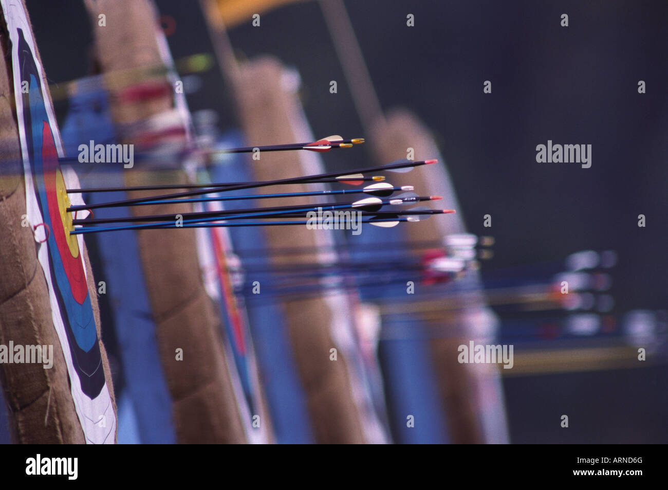 Archery target and arrows Stock Photo Alamy