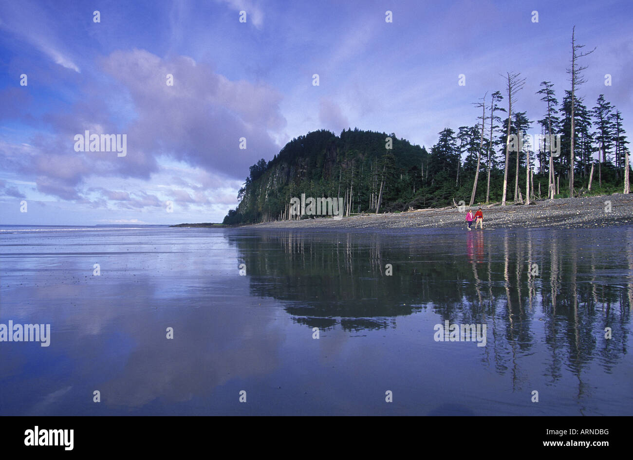 Queen Charlotte Islands Hadia Gwaii. Agate Beach and Tow Hill with