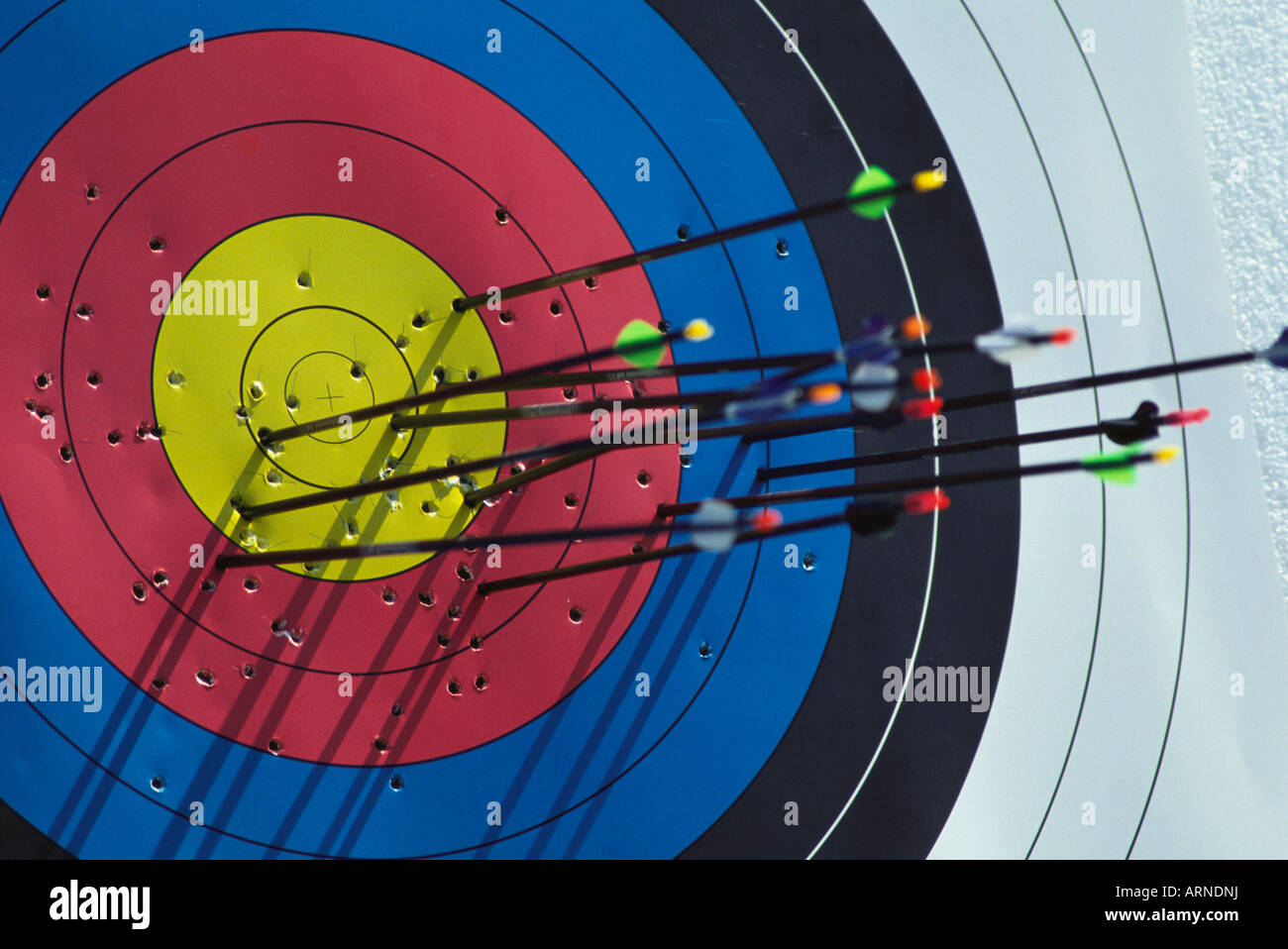 Tools of the trade, bull's eye bullseye sport sports targets archery