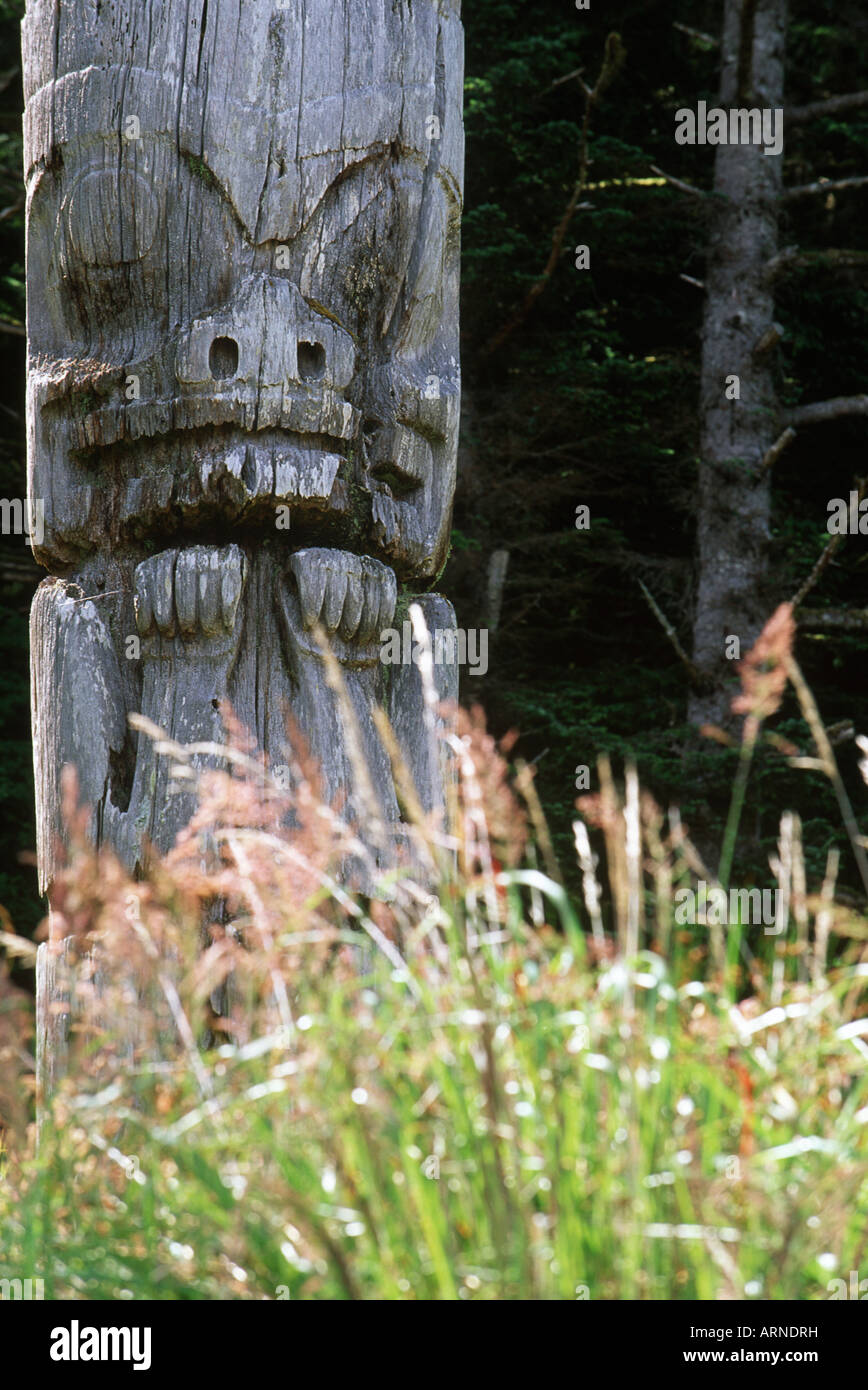 Queen Charlotte Islands, Ninstints Village (Nad Sdins), Anthony Island (SGaang Gwaay), weathered mortuary totem poles, British C Stock Photo