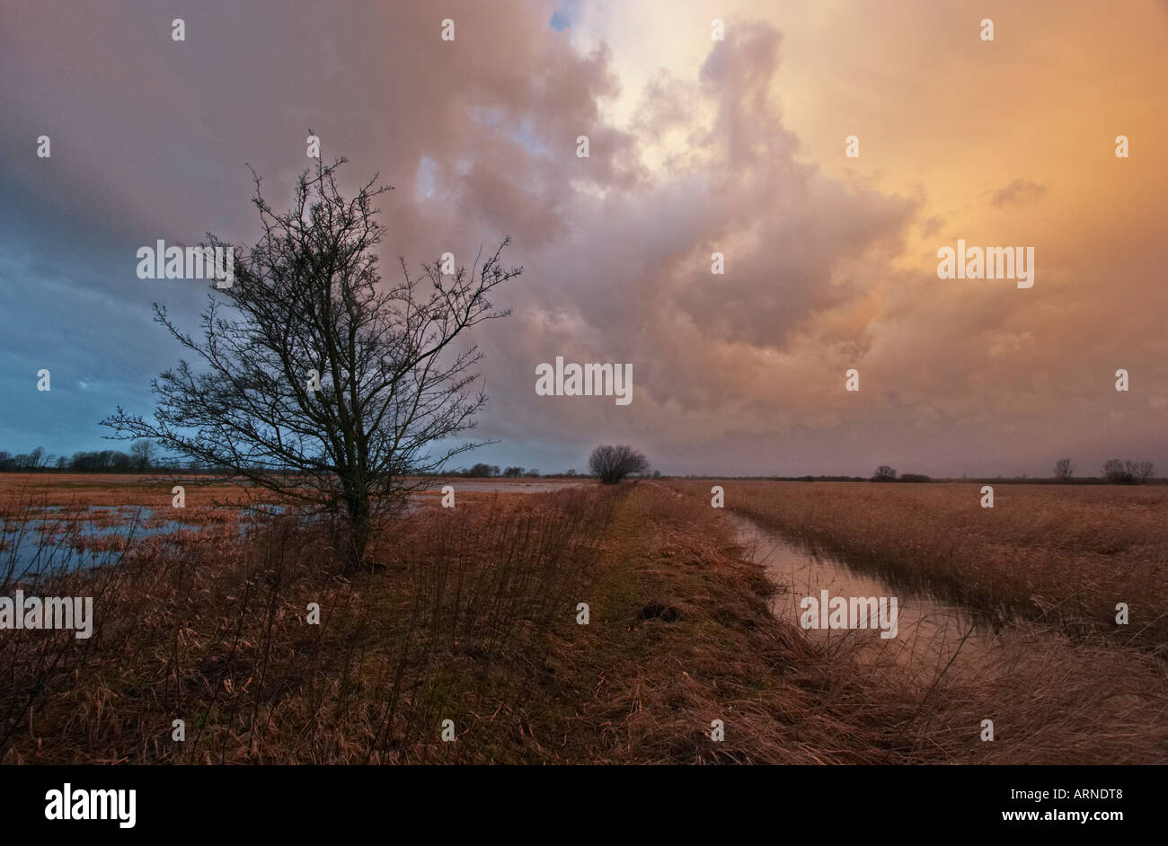Cloud mood, nature reserve Wuemmewiesen, Bremen, Germany Stock Photo