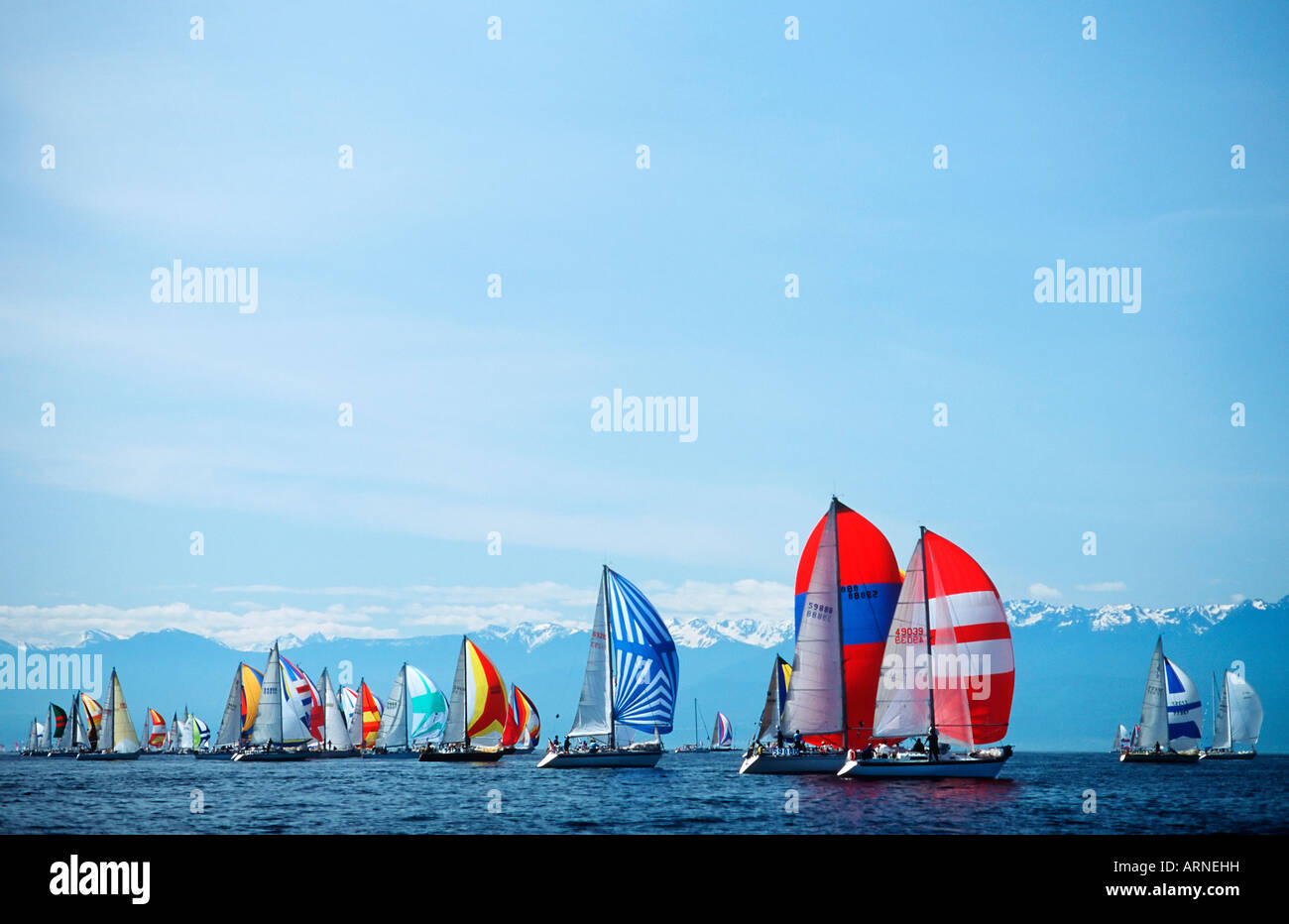 Swiftsure sailboat race, spinnaker start, Victoria, Vancouver Island