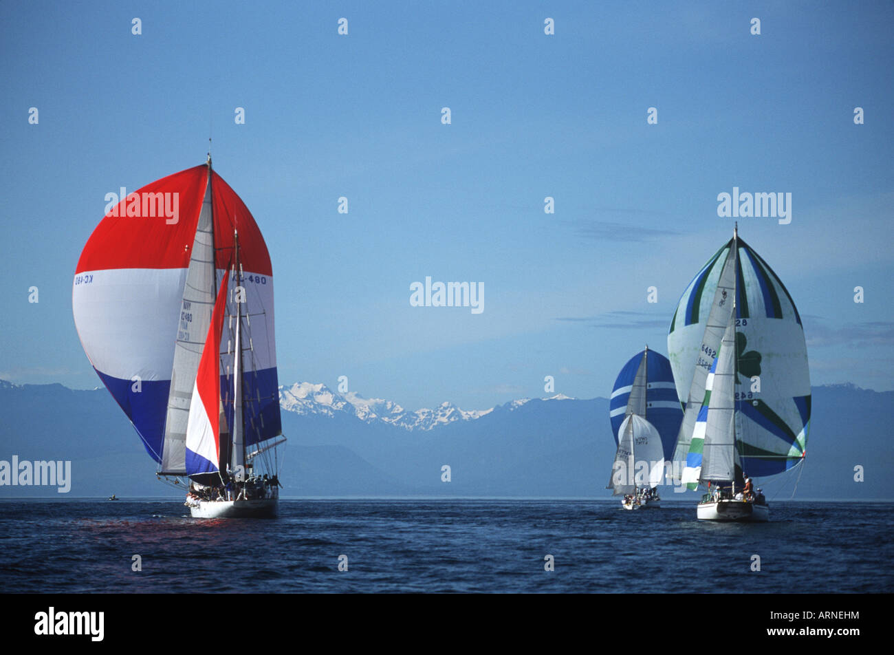 Swiftsure sailboat race, spinnaker start, Victoria, Vancouver Island