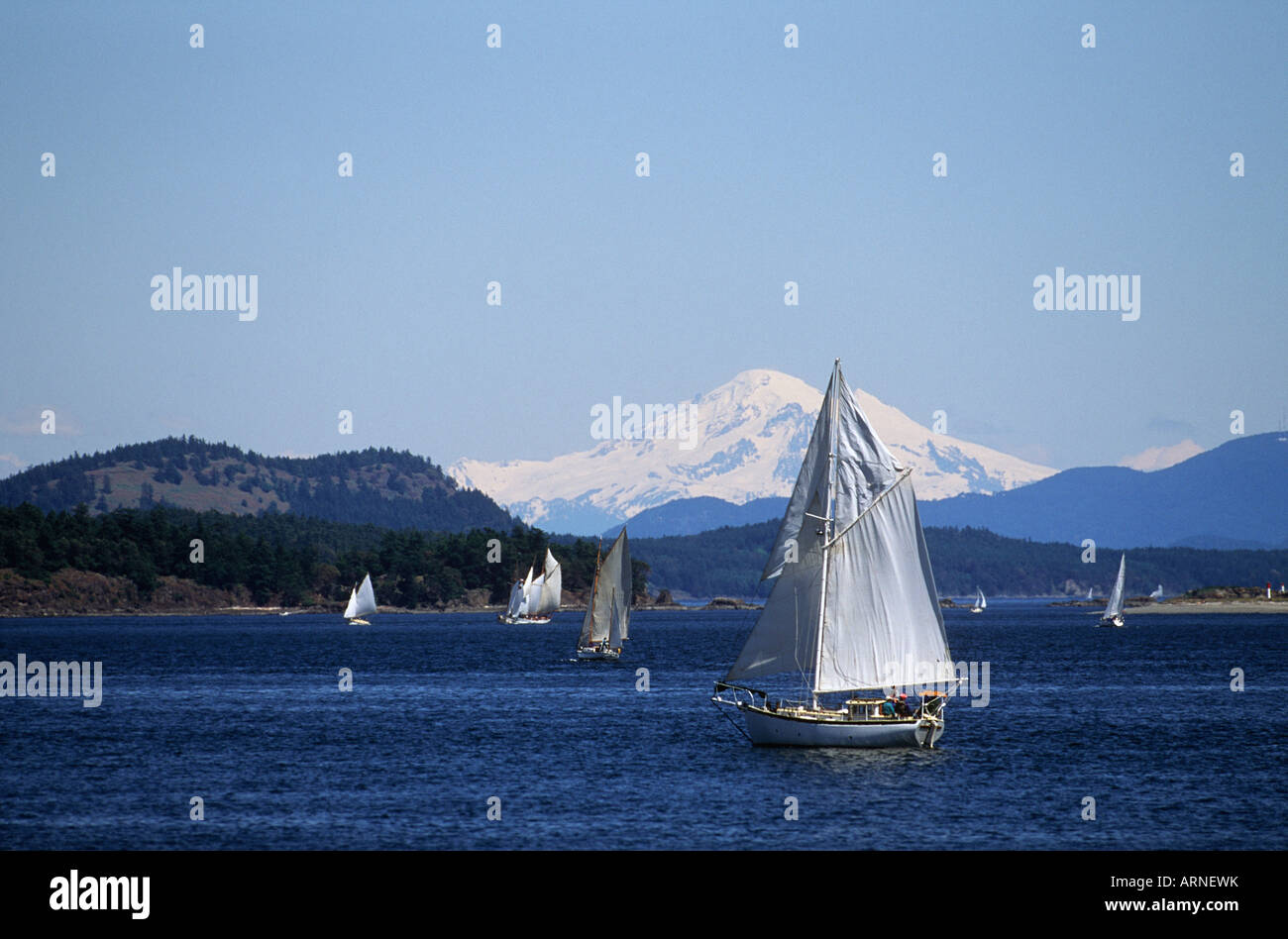 Sidney vista, with gaff rigged sail race and Mt Baker, Vancouver Island, British Columbia, Canada. Stock Photo