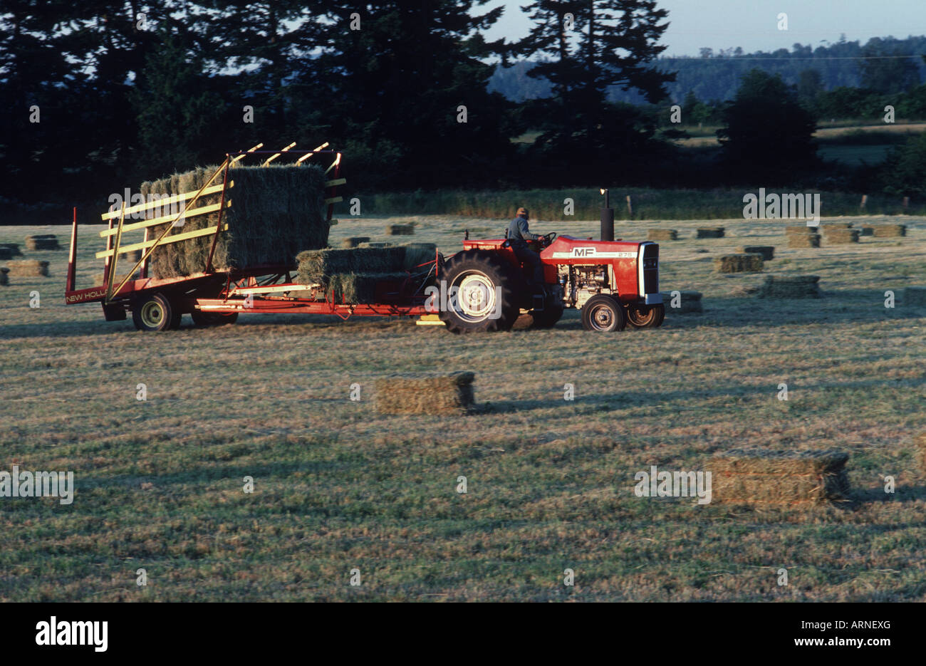 Saanich peninsula, harvesting hay, Vancouver Island, British Columbia