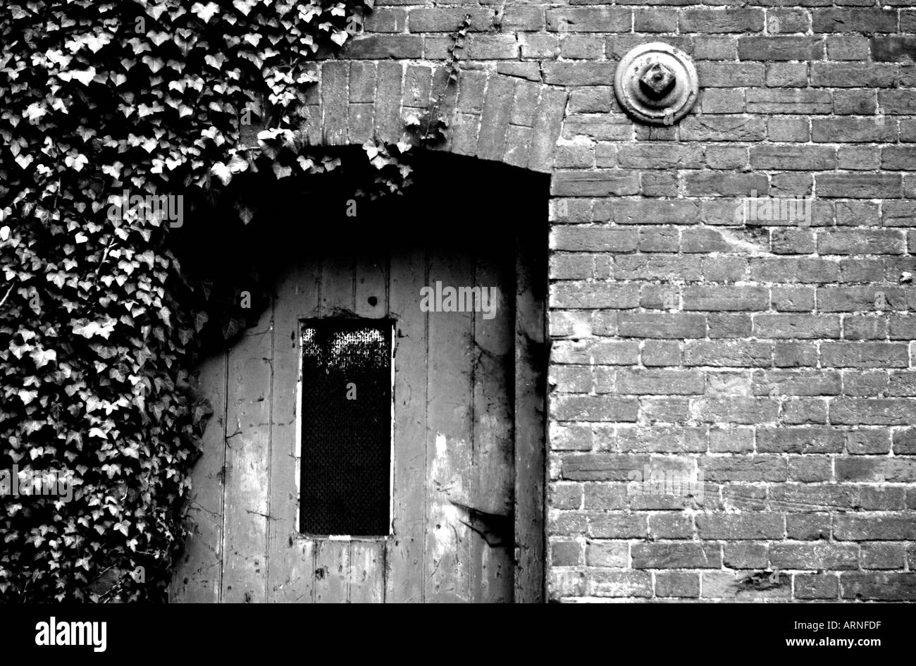 Dark old ivy clad door Stock Photo