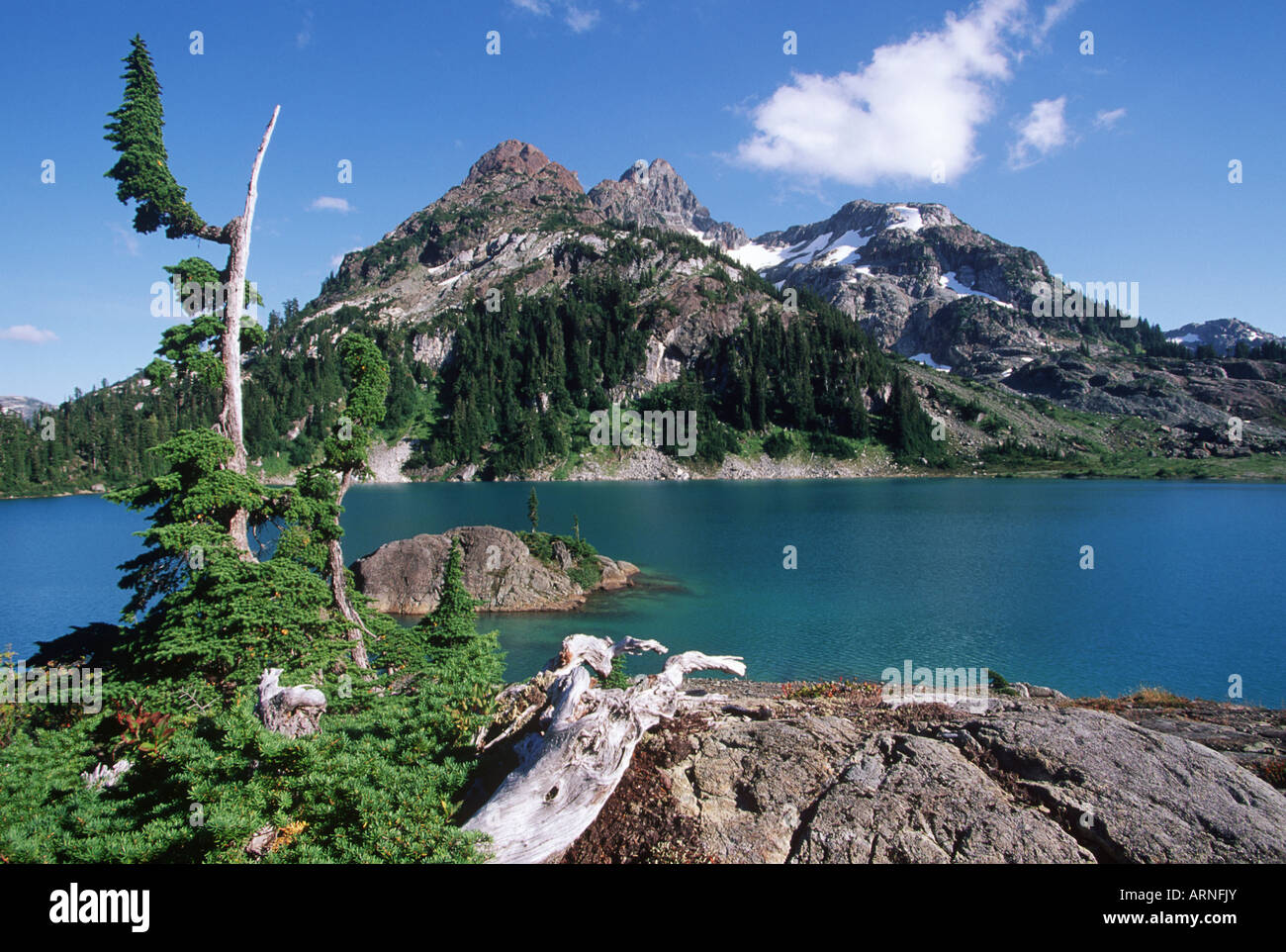Strathcona Provincial Park, Mt Septimus and Cream Lake, Vancouver Island, British Columbia, Canada. Stock Photo