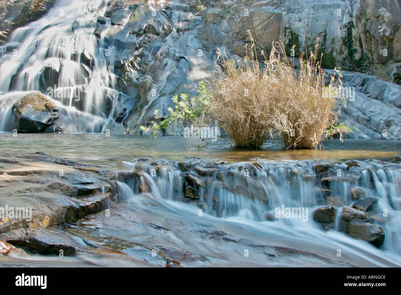 waterfall, with bush, South Africa, Tzaneen, Jul 05. Stock Photo