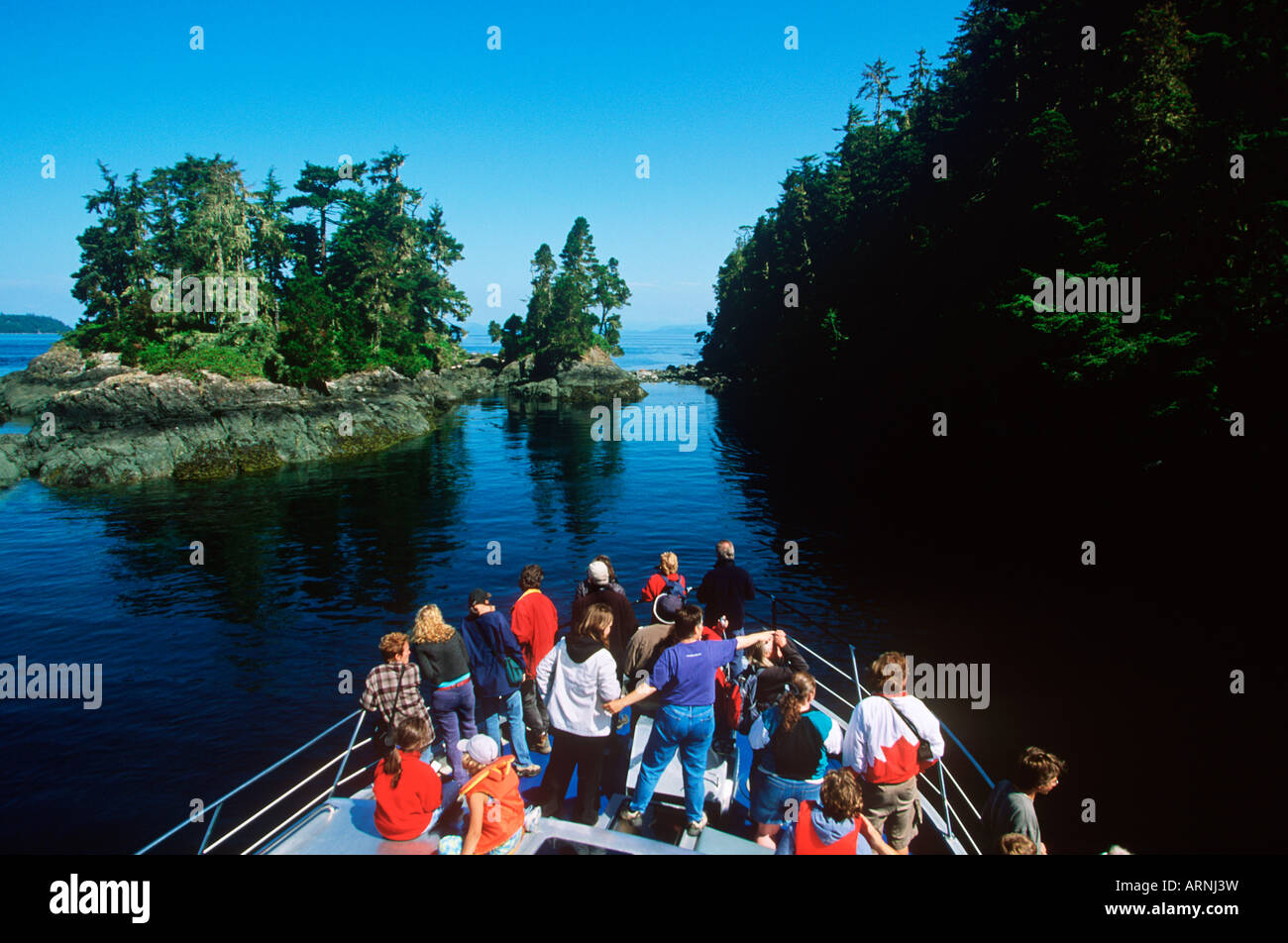 Telegraph Cove based whale watching / nature tour from boat M.V. Lukwa, Vancouver Island, British Columbia, Canada. Stock Photo