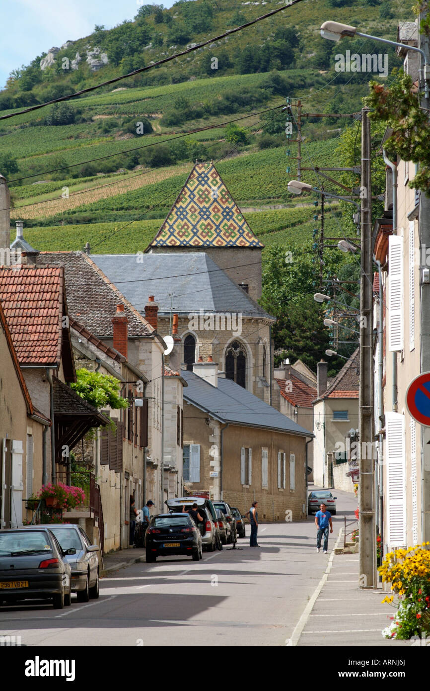 Santenay Town and Vines Cotes de Beaune Burgundy France Stock Photo