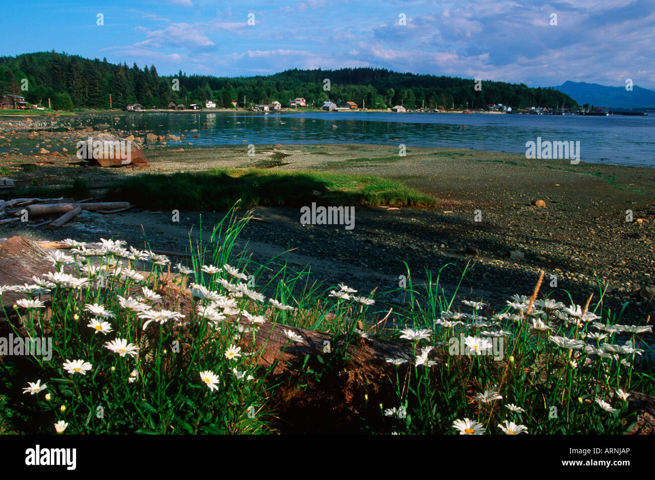 Malcolm Island, Sointula, British Columbia, Canada Stock Photo Alamy