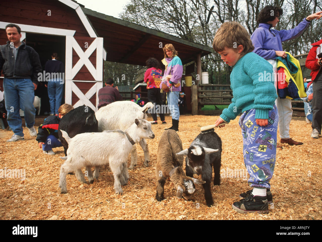 Young boy petting a goat in the petting zoo in Beacon Hill Park, Victoria, Vancouver Island, British Columbia, Canada. Stock Photo