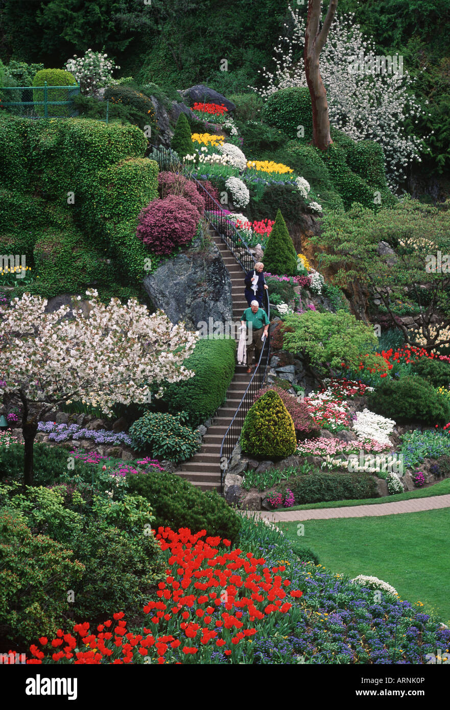 Butchart Gardens, spring flower display on rock garden, Victoria