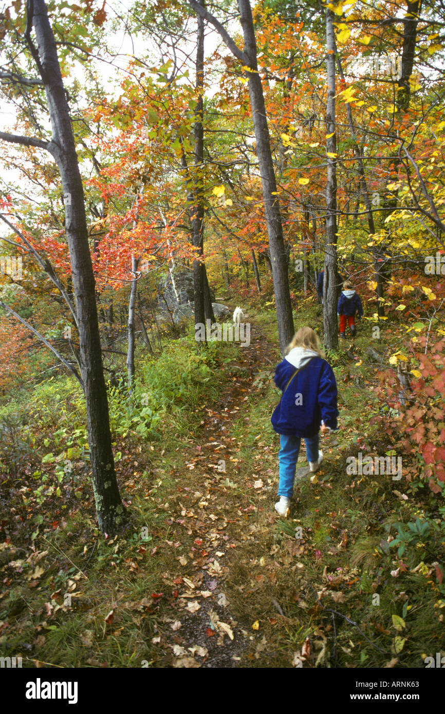 Autumn in the Catskill Forest New York State Lower Hudson River Valley Catskill Mountains. Hikers on a mountain trail. Weekend activity USA Stock Photo