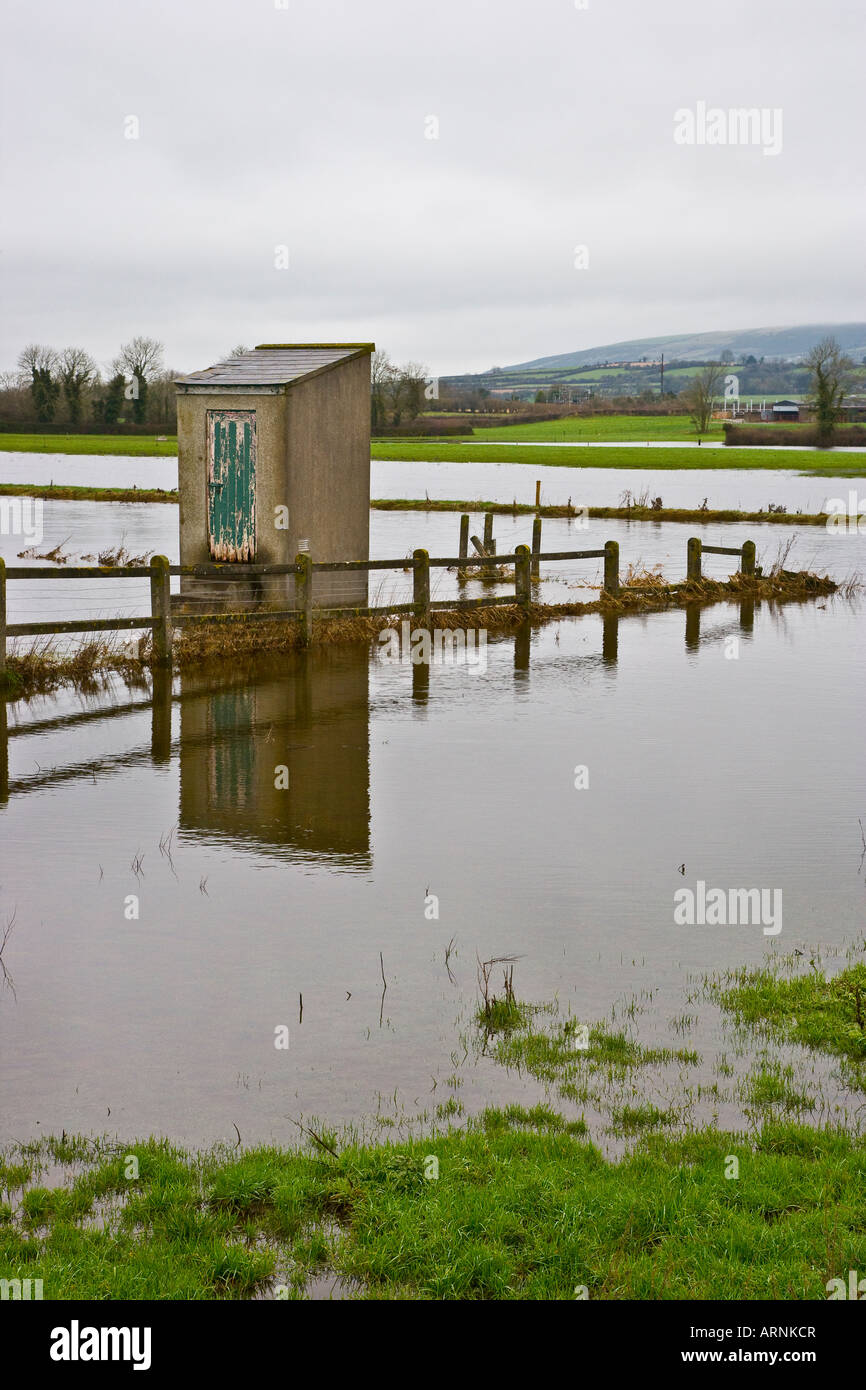flooded field Stock Photo