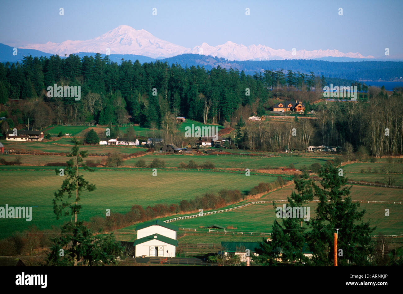 Saanich Peninsula farmland and Mt Baker,