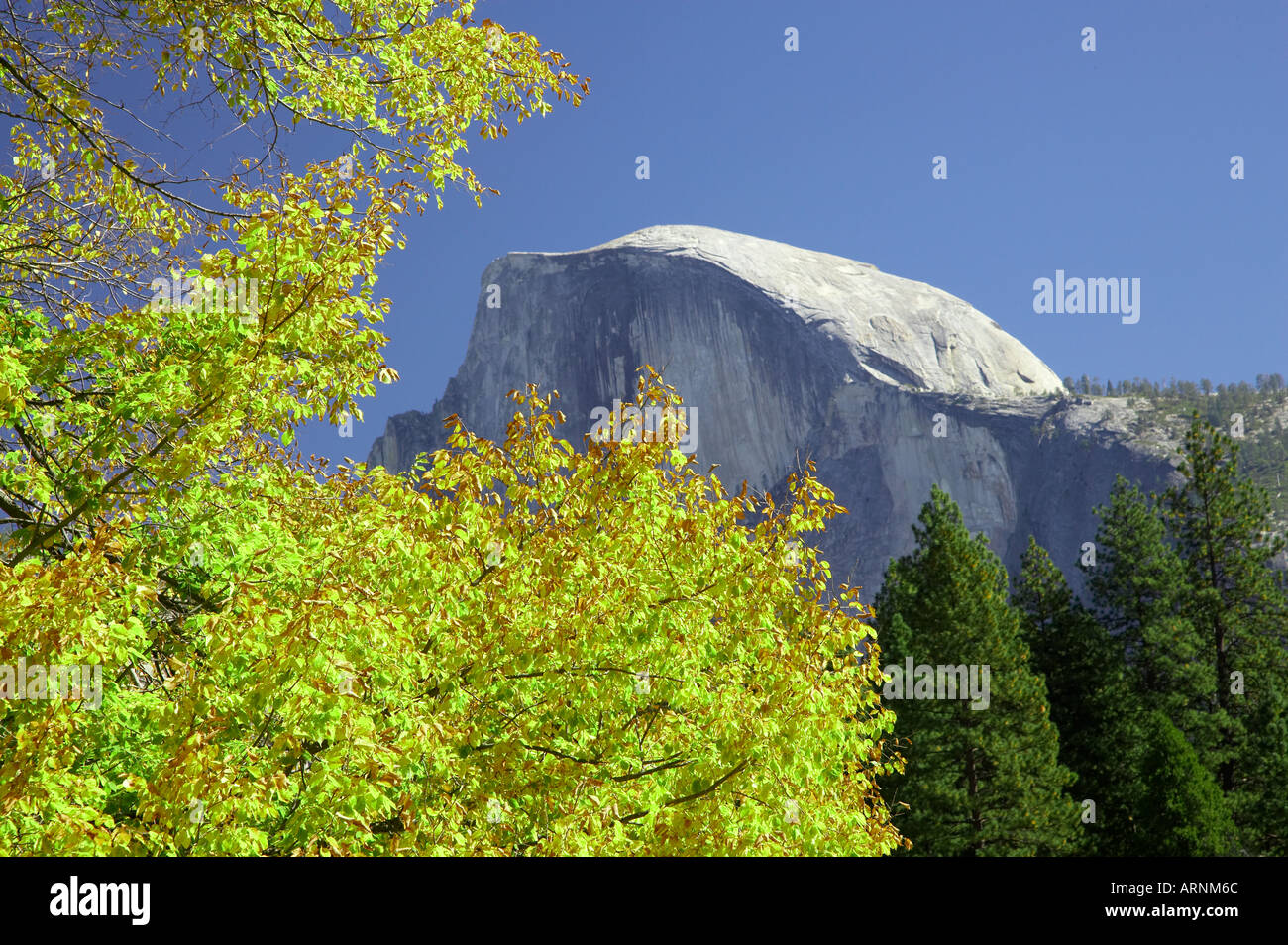 Half Dome Yosemite National Park California USA Stock Photo - Alamy