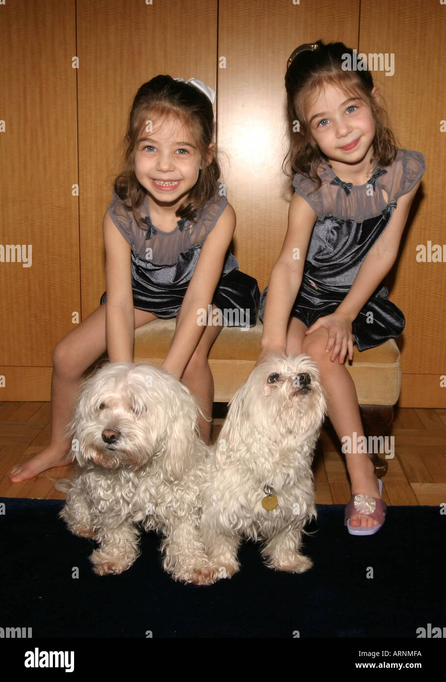 dog agents nyc