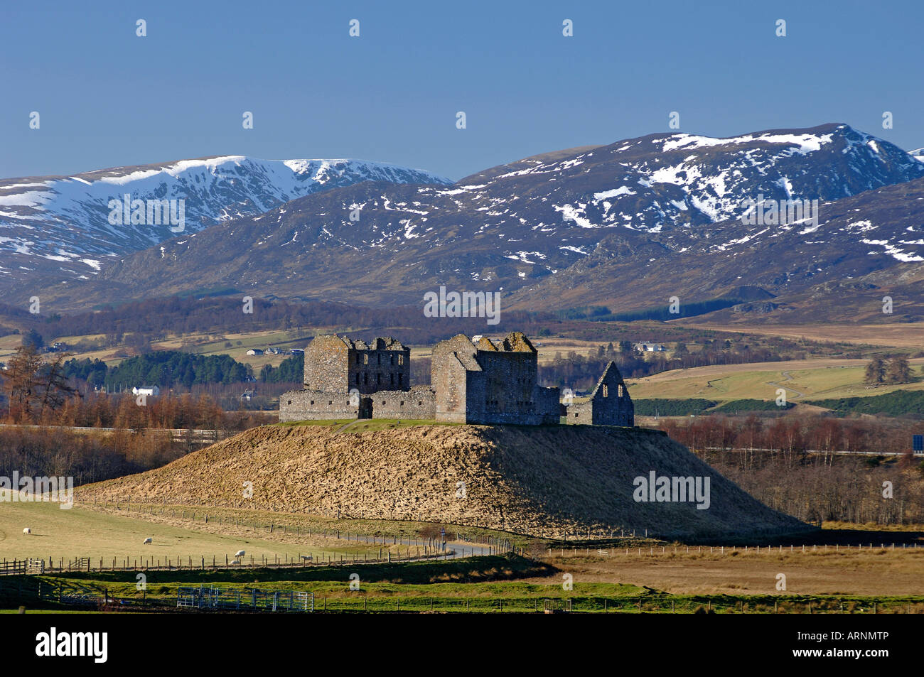 Wolf of badenoch hires stock photography and images Alamy