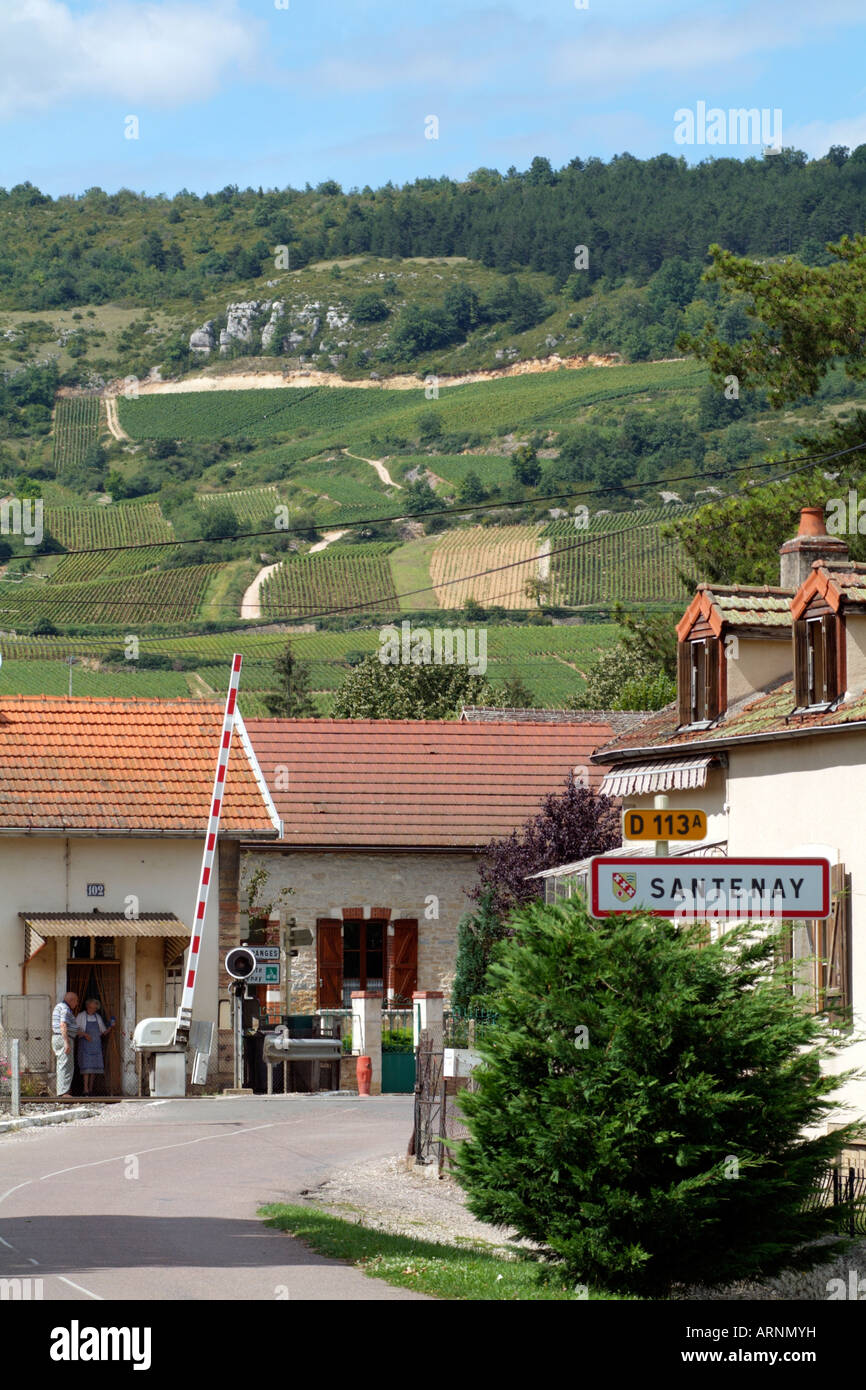 Santenay Village and Vines Cotes de Beaune Burgundy France Stock Photo