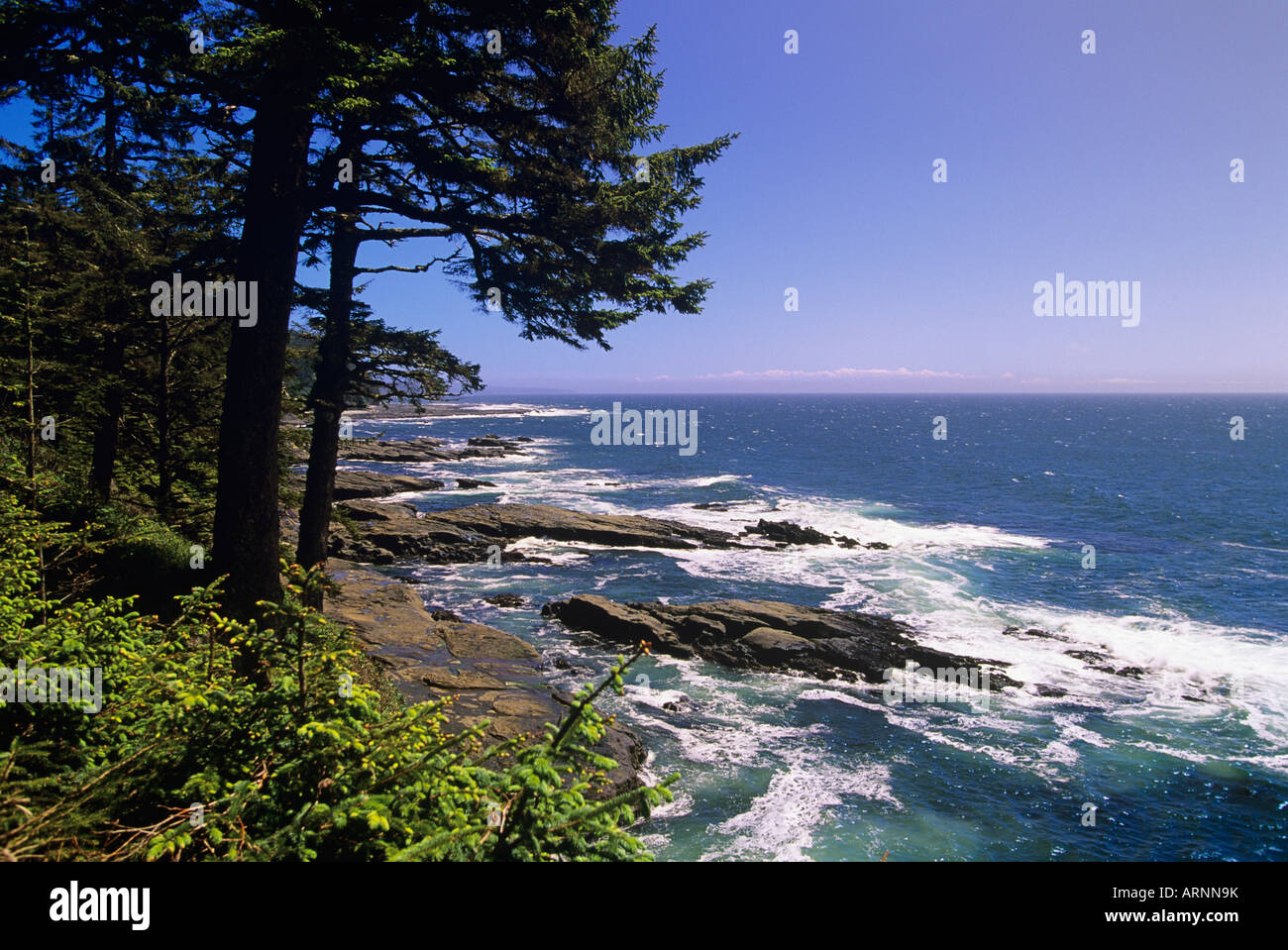 Pacific Rim National Park, West Coast Trail, coastline vista, Vancouver ...