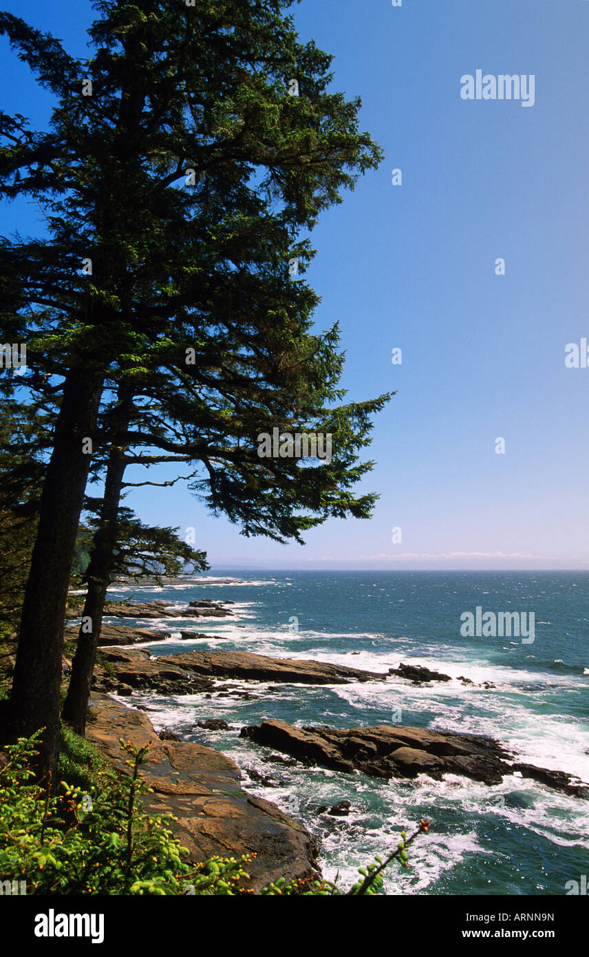 West coast trail hi-res stock photography and images - Alamy