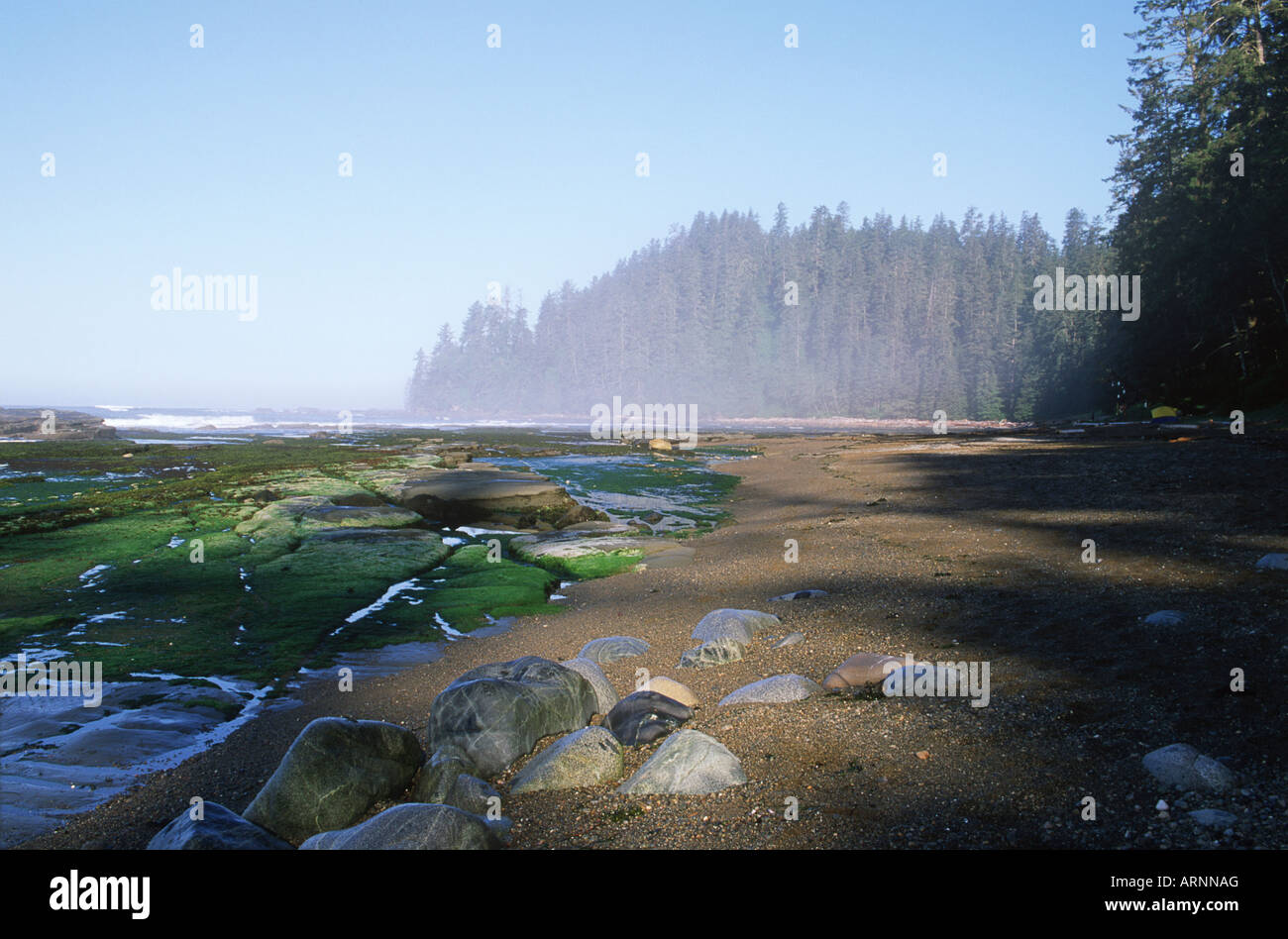 Pacific Rim National Park, west coast trail, beach at Darling River