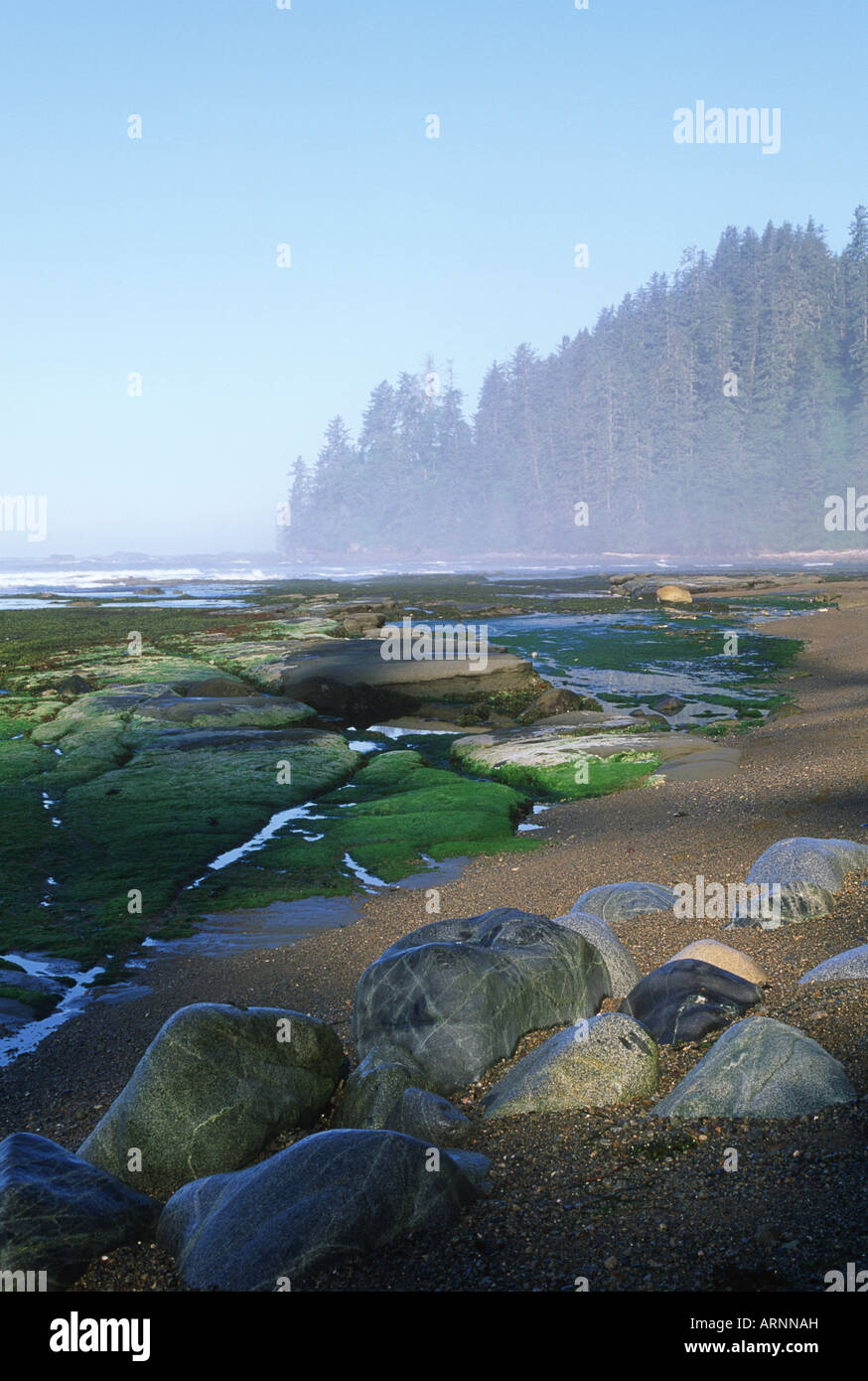Pacific Rim National Park, west coast trail, beach at Darling River