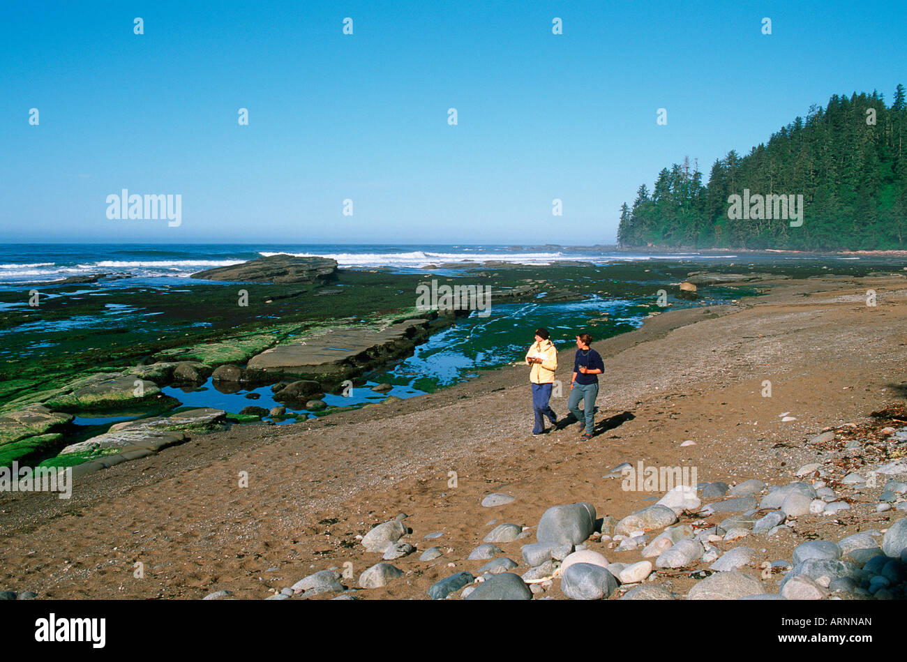 Pacific Rim National Park, west coast trail, beach at Darling River