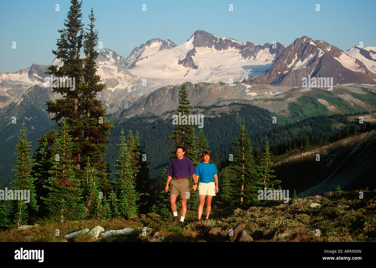 Young couple hikes in alpine meadow atop Whistler, British Columbia, Canada. Stock Photo