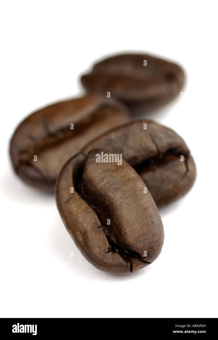 small row of coffee beans with SDOF on white background Stock Photo