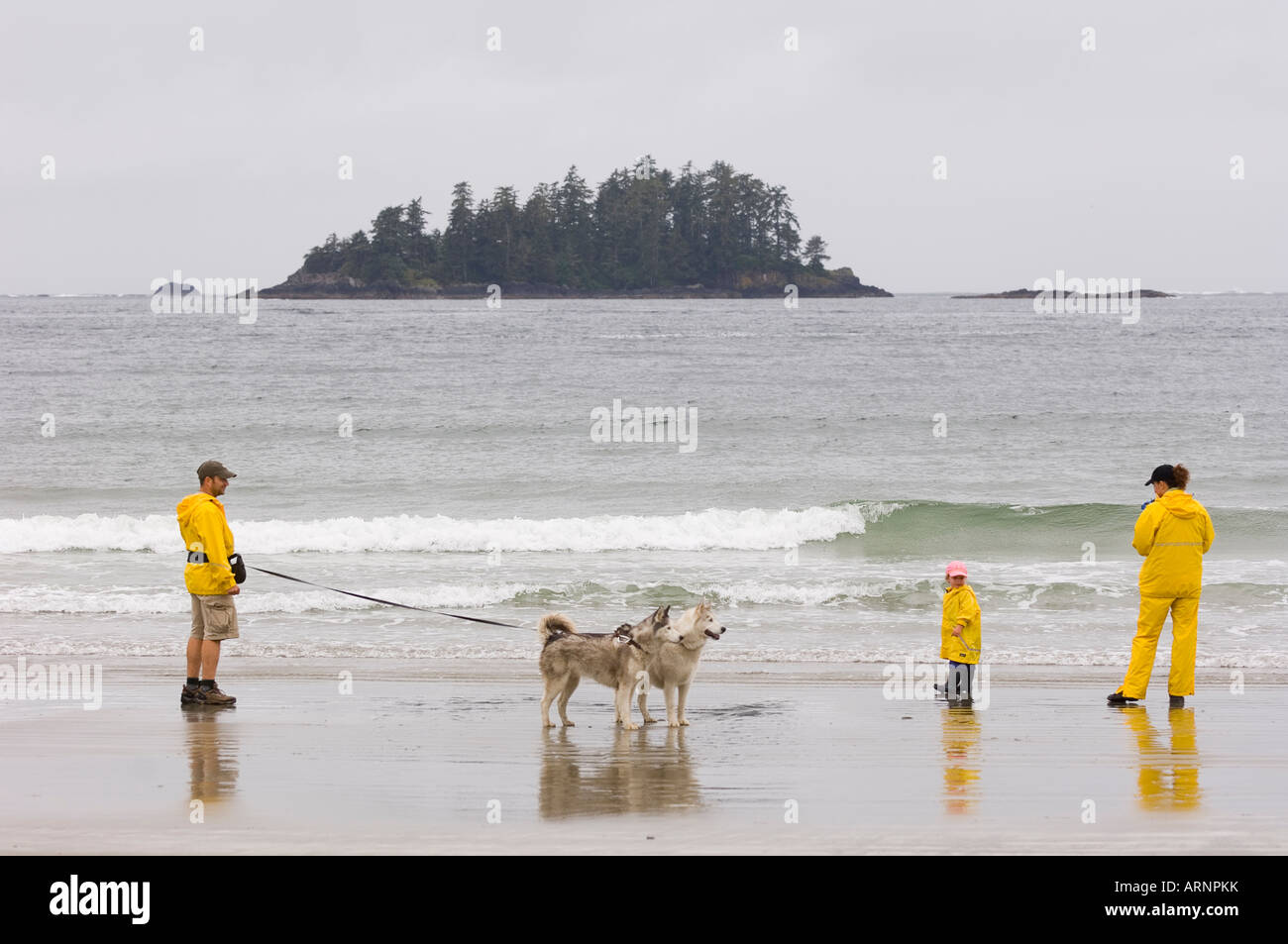 family in yellow rain gear walk with dogs, MacKenzie Beach at Tofino