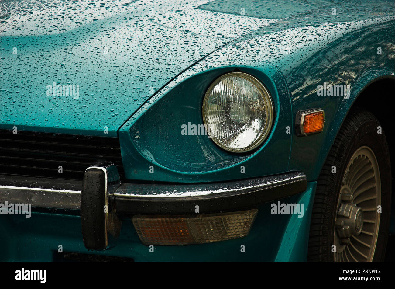 Datsun 240Z classic car detail .Paintwork is glistening after recent rain Stock Photo