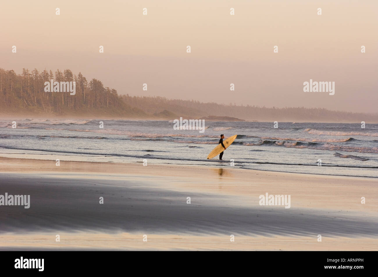 Pacific Rim Walk In Sea Pacific Rim National Park, Long Beach, surfer walks shoreline ...