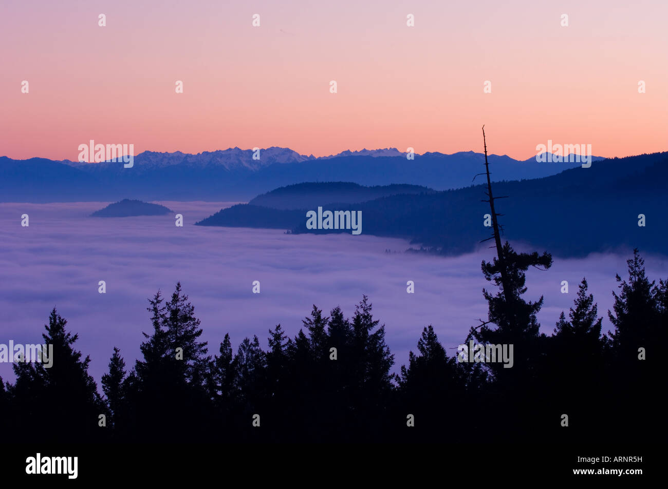 Malahat lookout over Finlayson Arm, north of Victoria at sunset with fog below hilltops, Vancouver Island, British Columbia, Can Stock Photo
