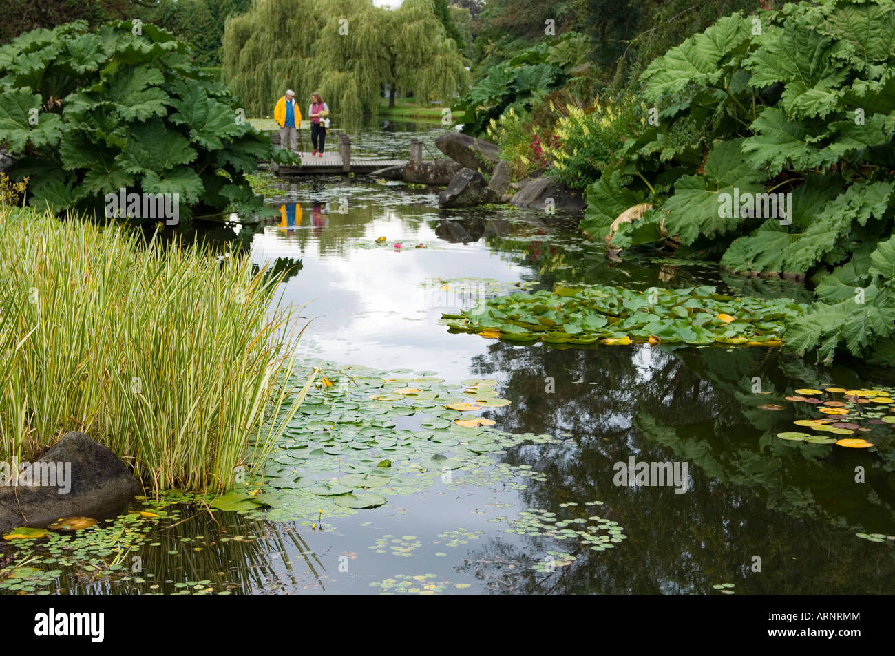 VanDusen Botanical Garden, Vancouver, British Columbia, Canada. Stock Photo