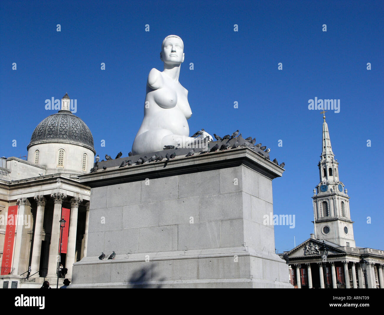 The statue of 