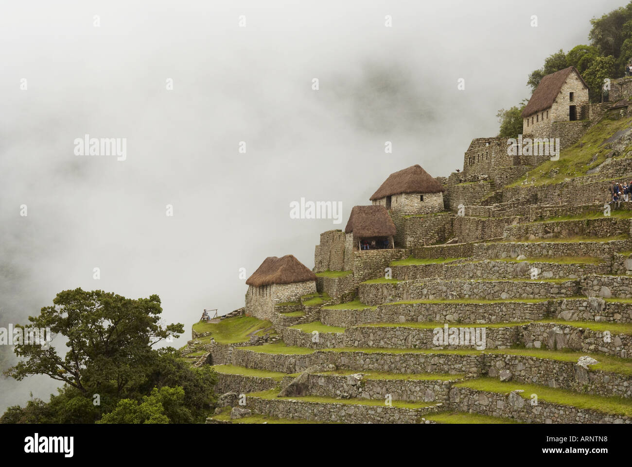 Terraces, Machu Picchu Peru Stock Photo - Alamy
