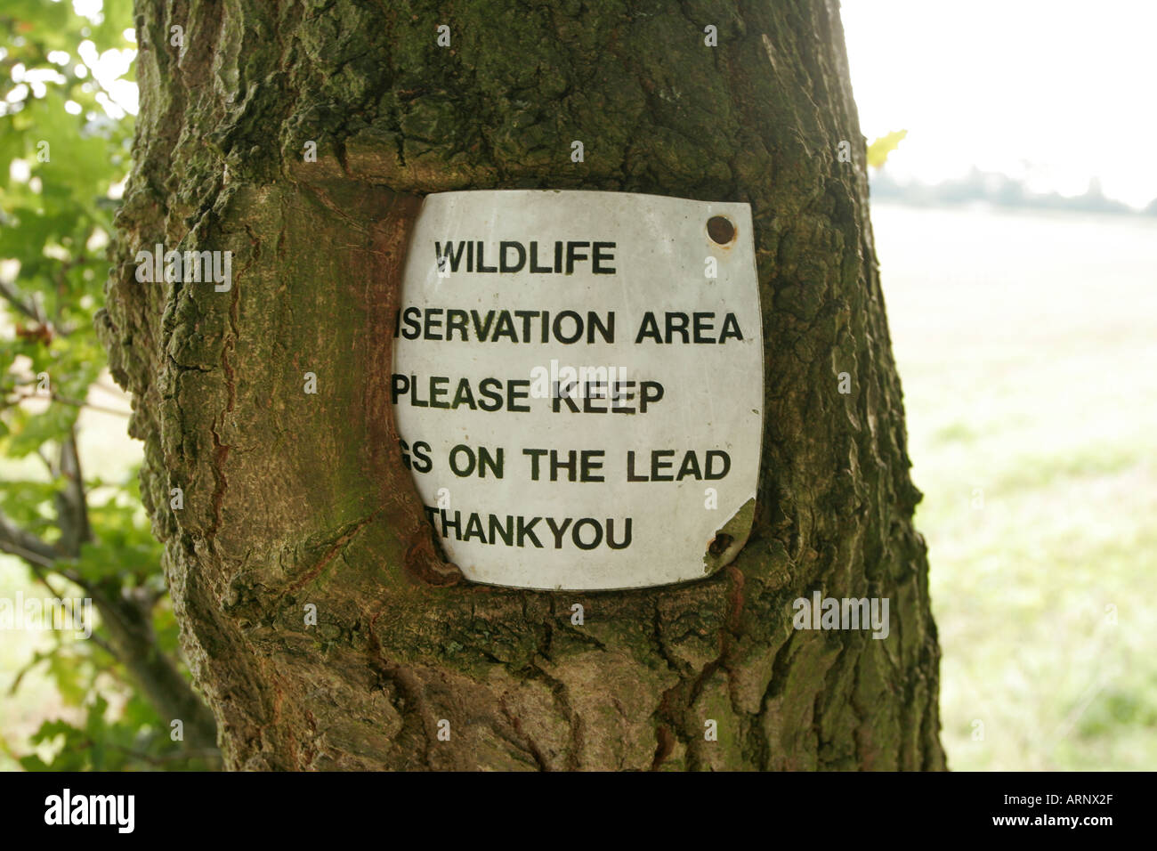 Wildlife preservation sign on a tree which  the bark has grown around Stock Photo
