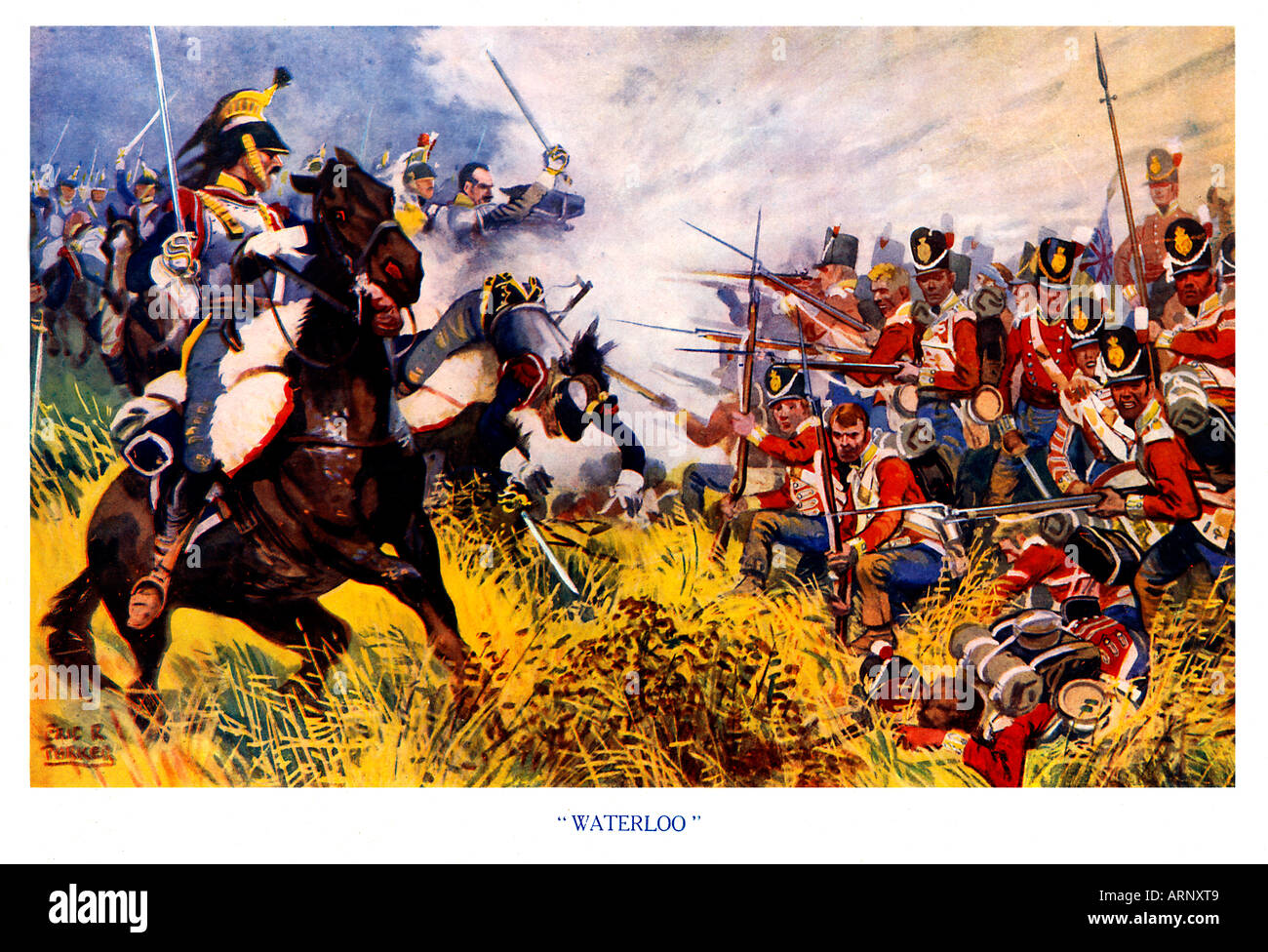 French Cavalry Waterloo High Resolution Stock Photography And Images Alamy