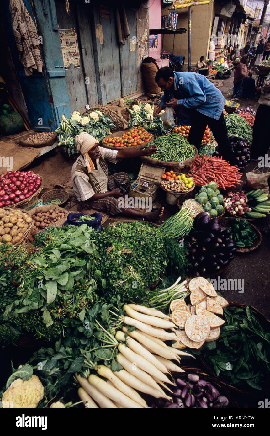 India, Varanasi, vegetable vendor on street Stock Photo Alamy