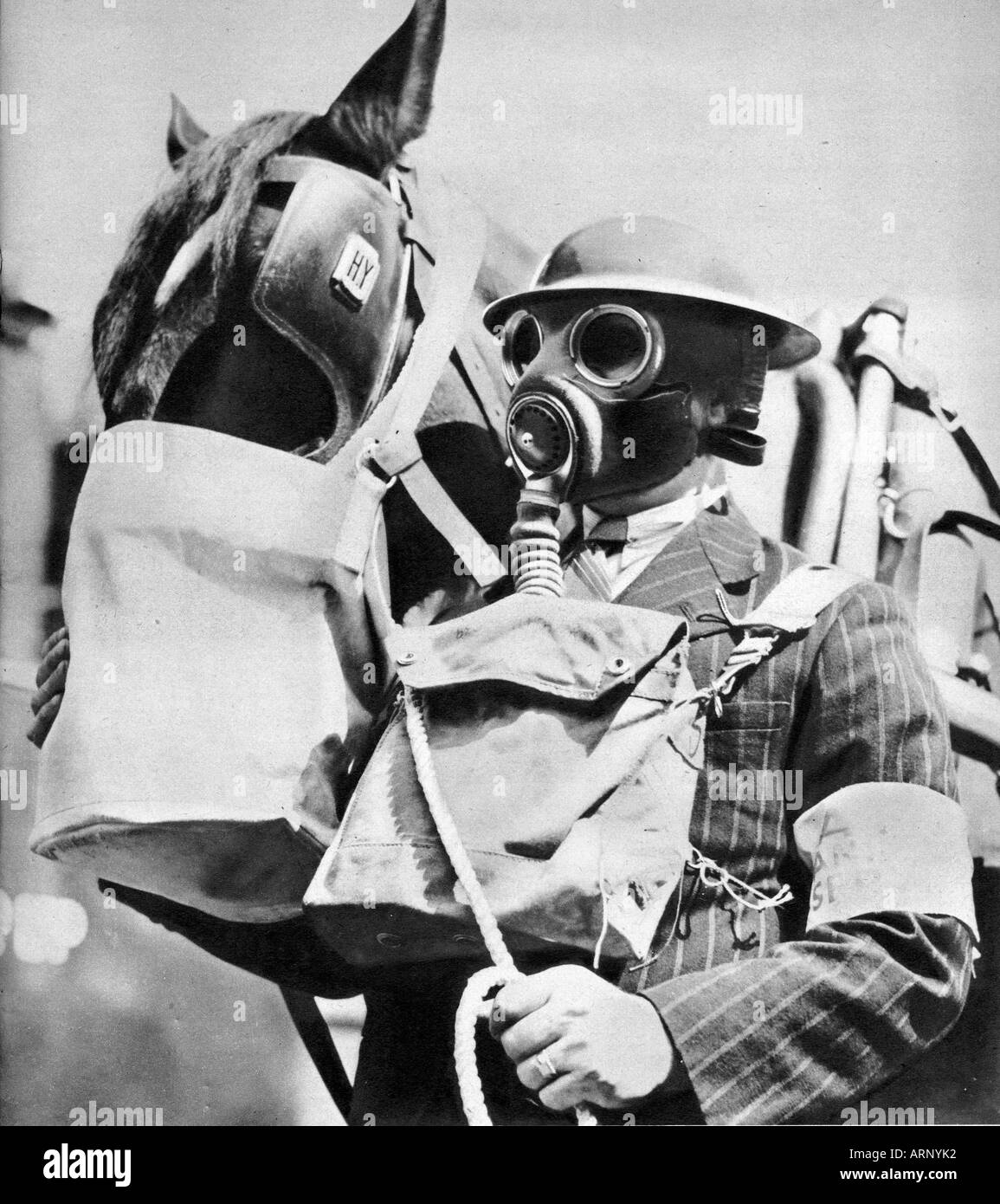 Blitz Animal ARP Service in 1940 England with a gas mask for the horse as well as the warden Stock Photo