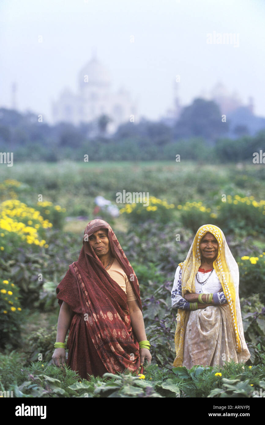 India, Uttar Pradesh, Agra, Farm workers with Taj Mahal in distance