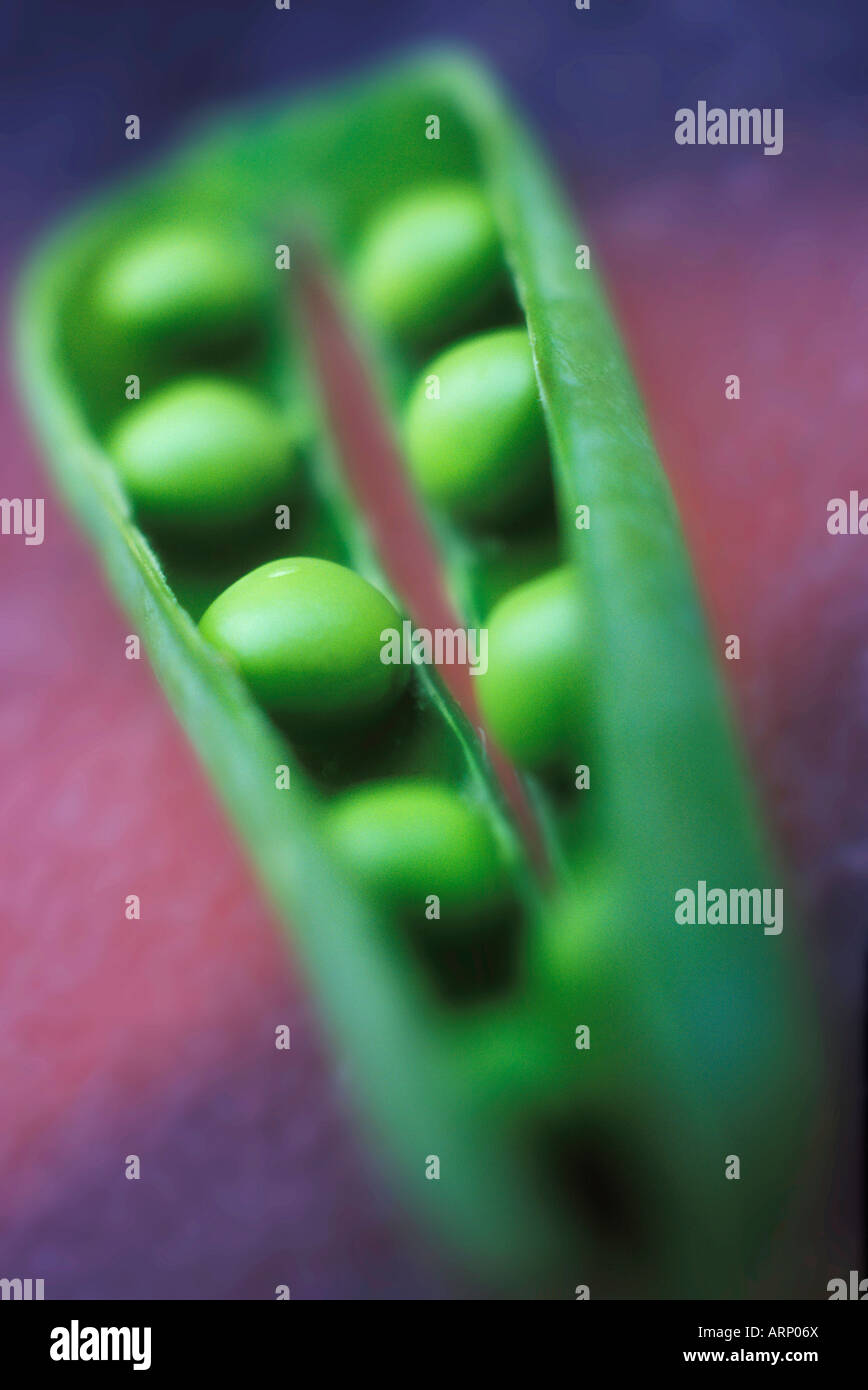 Like peas in a pod Stock Photo