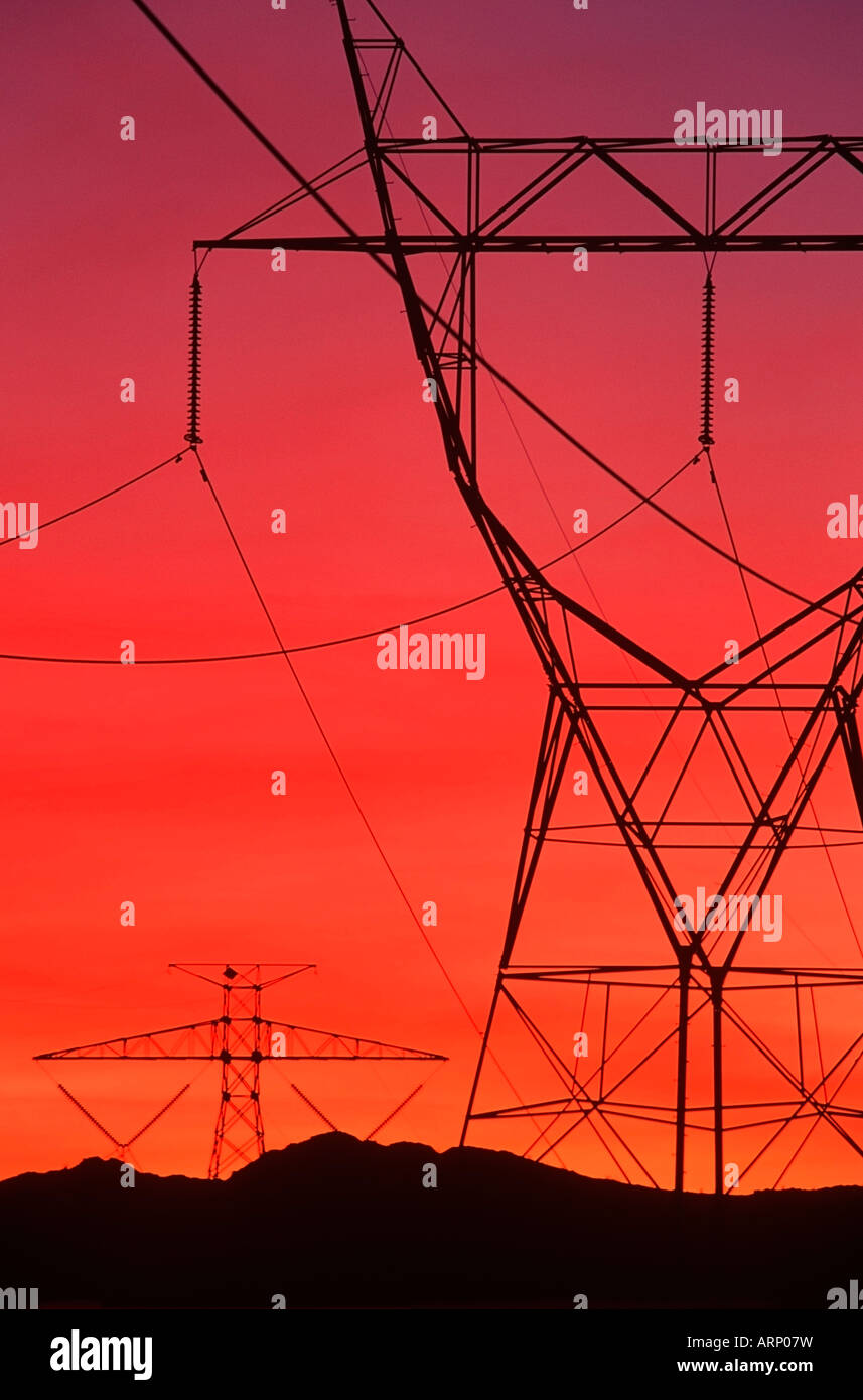 Hydro lines at sunset Stock Photo Alamy
