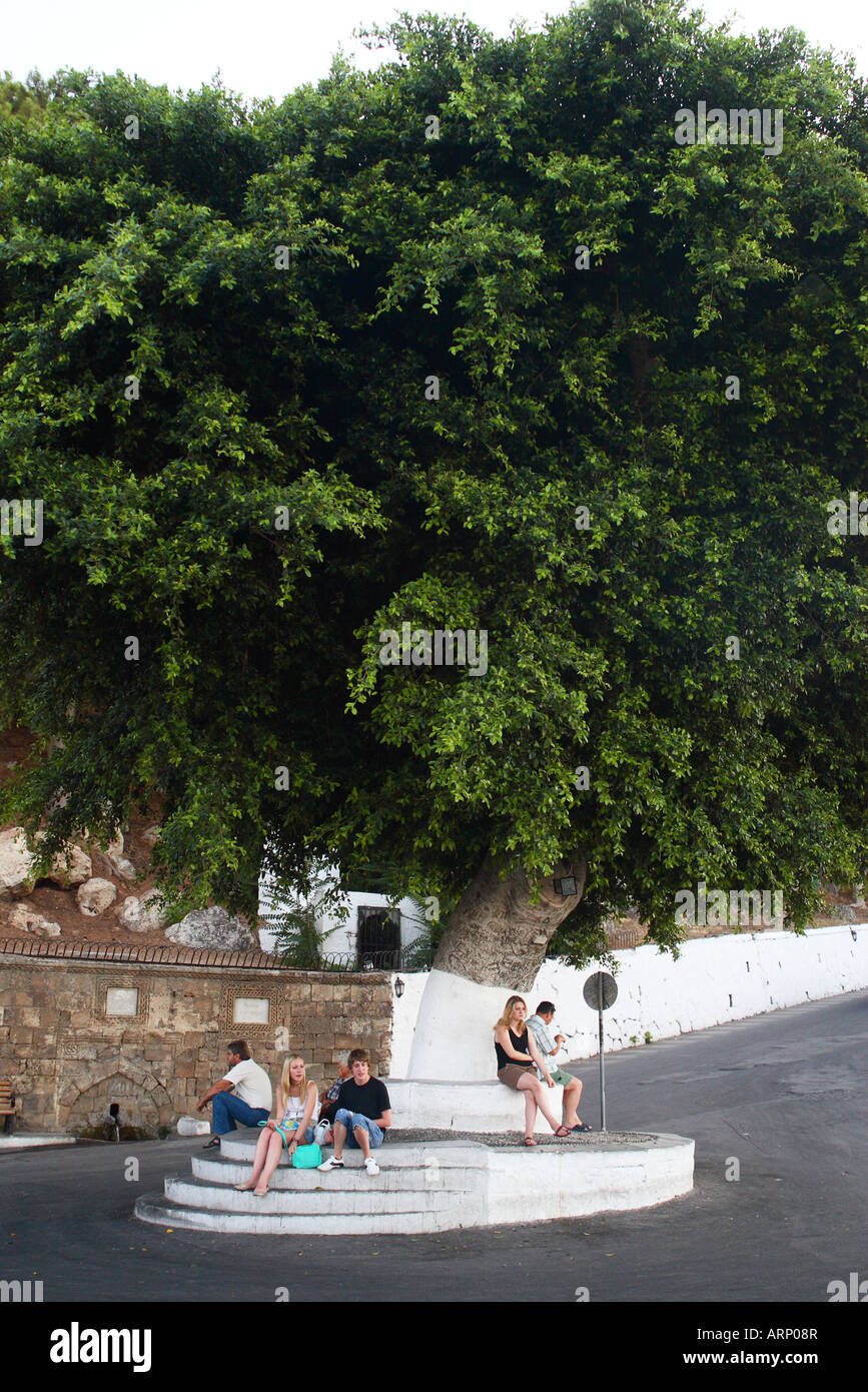 Tourists wait under a big tree where taxi s can collect in Lindos town Rhodes Greece Stock Photo